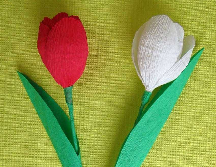 Тюльпаны и букеты из гофрированной бумаги: мастер-класс изготовления своими руками