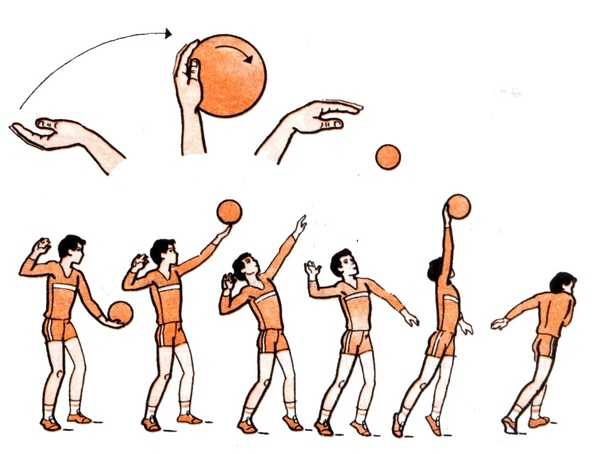 Тактика игры в волейбол простыми словами