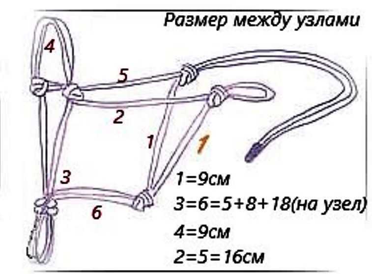 Недоуздок для лошади: как сделать или связать веревочный недоуздок своими руками, схема или таблица с его размерами для этого