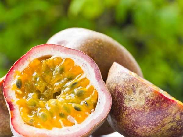 Маракуйя - всё о свойствах фрукта - как выбирать - фото плодов