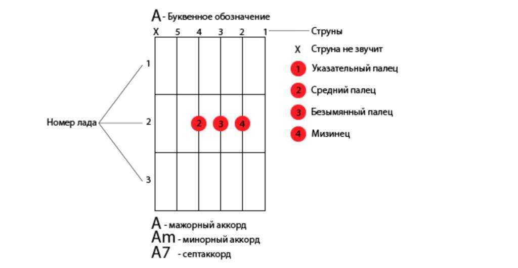 Как выучить и ставить основные аккорды для игры на гитаре - блог музыкальной школы арт-фа