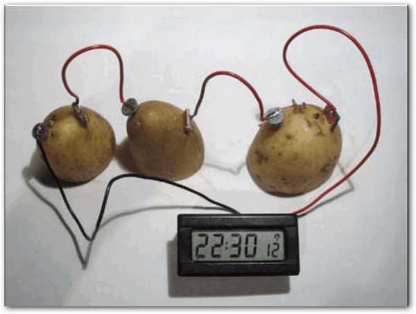 Как сделать батарейку из картошки — 2 способа. рабочий и не очень.