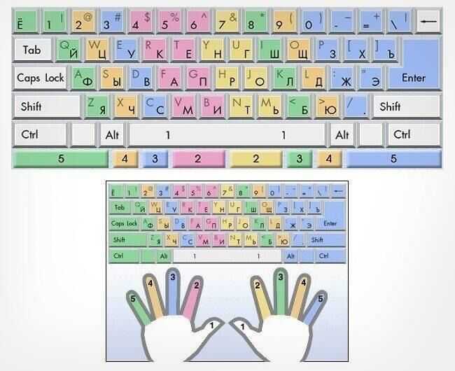 Правильное положение рук на клавиатуре