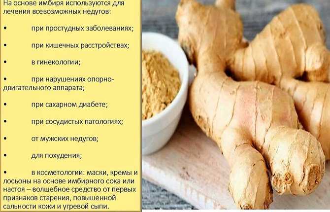 Как приготовить имбирь в домашних условиях: рецепты и рекомендации :: syl.ru