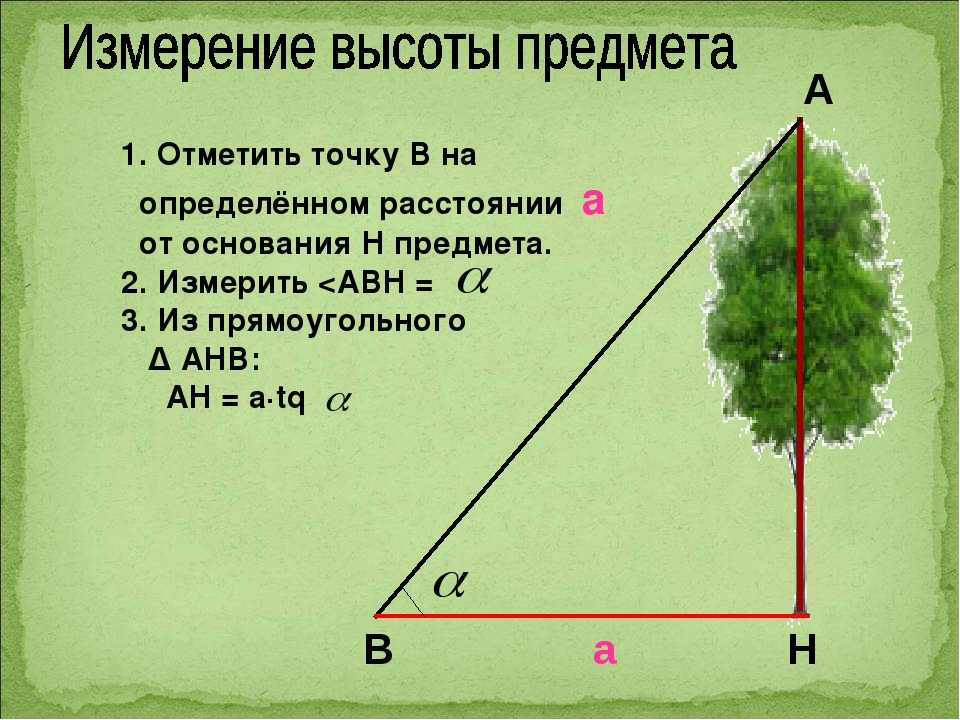 Высотомер для измерения высоты дерева