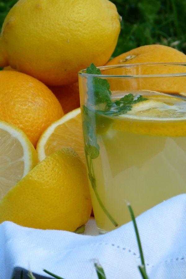 Лимонад из апельсинов в домашних условиях: рецепты с фото пошагово