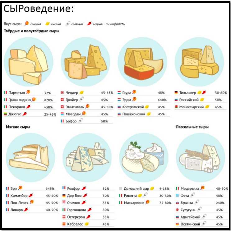 Как правильно есть мягкий сыр и как правильно сервировать сырную тарелку | hochu.ua