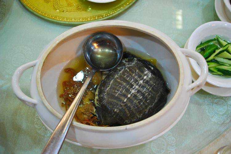 Черепаховый суп: рецепт, особенности приготовления. из каких черепах варят черепаховый суп :: syl.ru