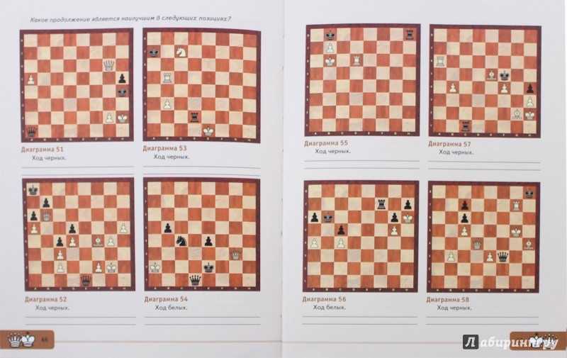 Основные тактики в шахматах. как почти всегда побеждать в шахматах