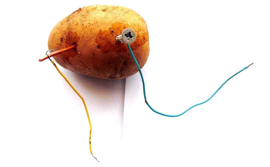 Как сделать батарейку из картофеля: 13 шагов (с иллюстрациями) - энциклопедия - 2021