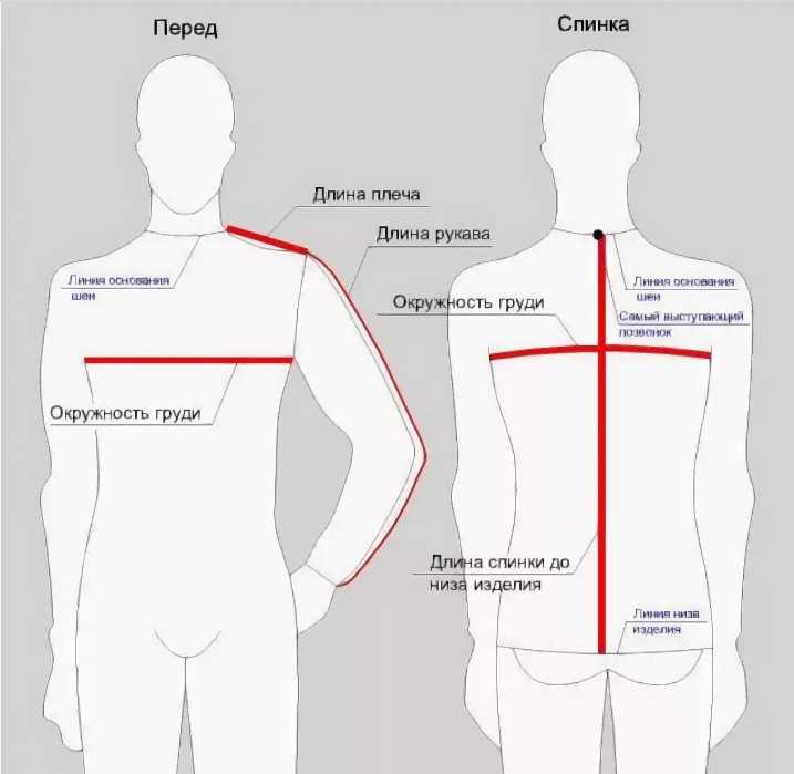 Пропорции тела: основные параметры, идеальная женская фигура и как ее добиться