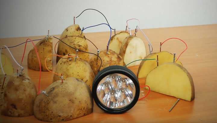 Как сделать картофельную батарею для часов - wikihow