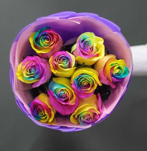 Как сделать радужные розы с цветными лепестками