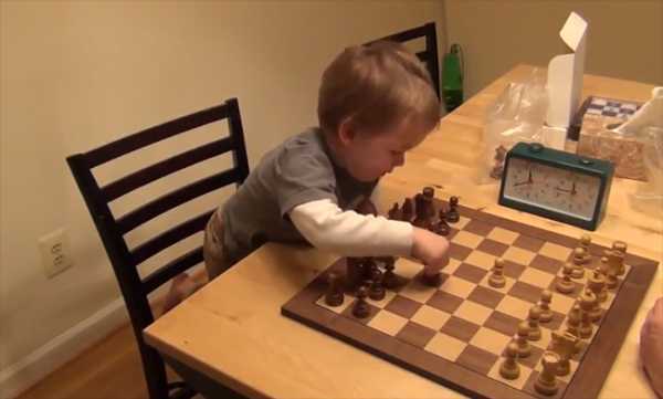 Уроки шахмат для детей: бесплатные видео для домашнего обучения - все курсы онлайн