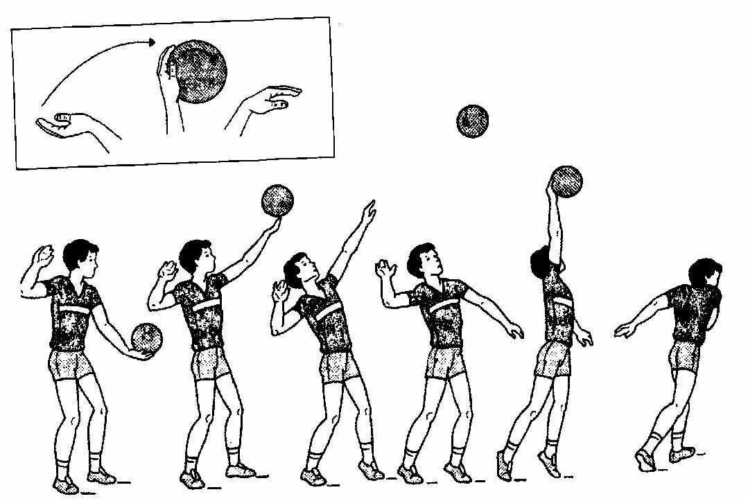 Обучение волейболу – 10 упражнений в игровой форме для малышей