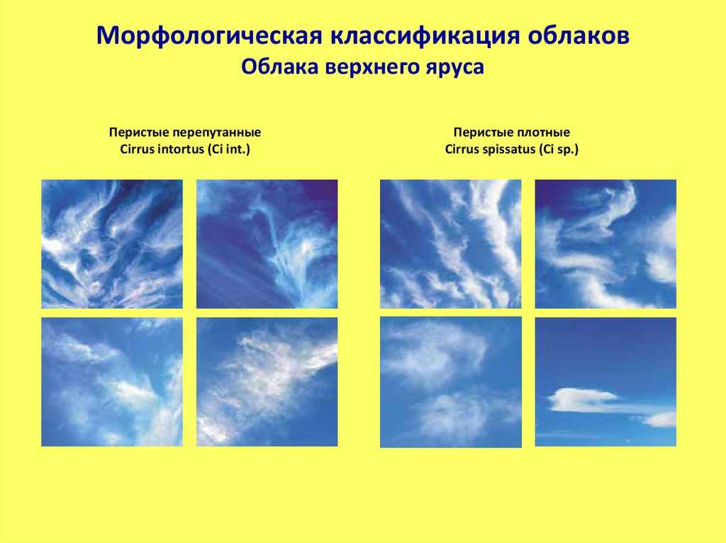 Схема облаков. Классификация облаков метеорология. Морфологическая классификация облаков. Виды облаков рисунок. Перистые облака.