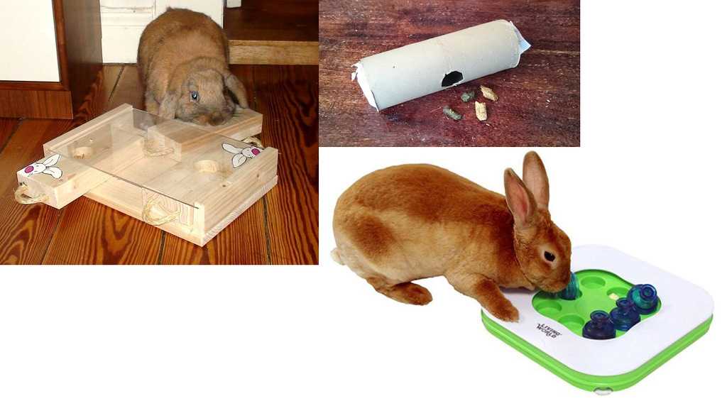 Как сделать самодельные игрушки для кролика - wikihow