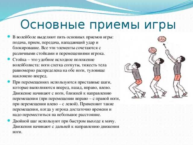 Разминочные и общефизические упражнения волейболистов