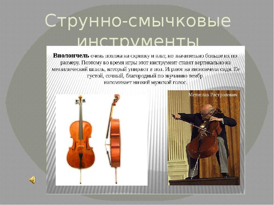 Скрипка струнно смычковый инструмент. Виолончель музыкальный инструмент. Струнно-смычковые музыкальные инструменты. Музыкальные инструменты в виде виолончели. Инструмент большая скрипка.