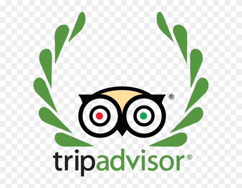 Вопрос: как написать отзыв на tripadvisor? - путешествия | studok.net