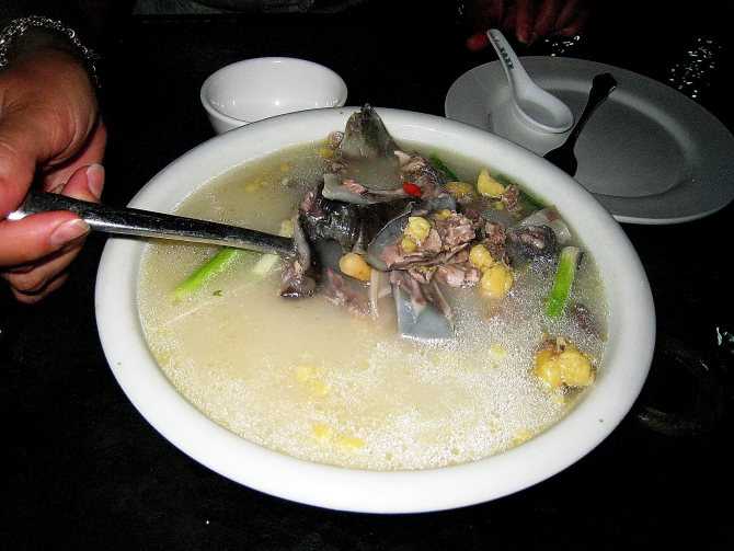Черепаховый суп: рецепт, особенности приготовления. из каких черепах варят черепаховый суп :: syl.ru
