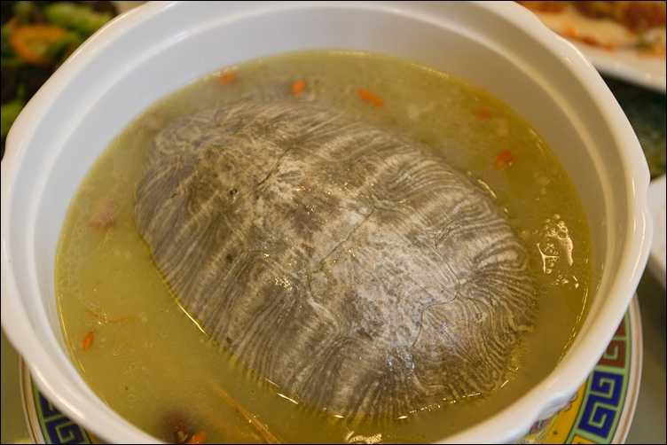 Суп из телячьей головы - mock turtle soup - abcdef.wiki