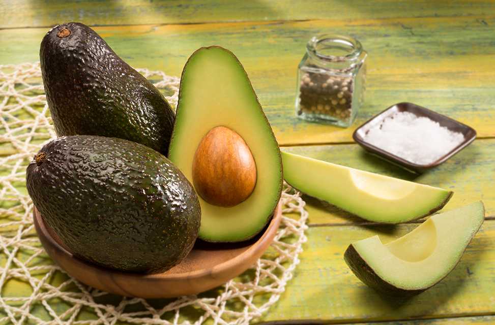 Авокадо. уход и выращивание в домашних условиях. как вырастить авокадо из косточки