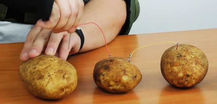 Картофельная батарейка как сделать — moreremonta