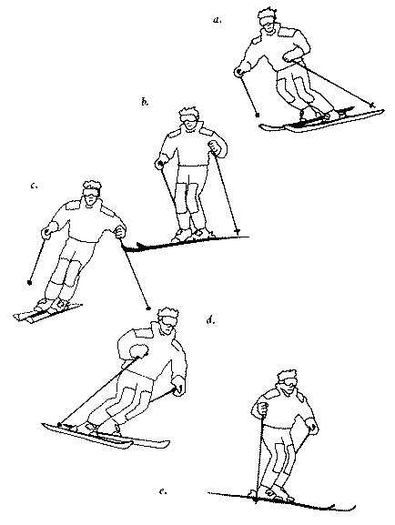 Как правильно кататься на беговых лыжах: описание техники