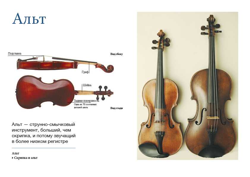 Типы скрипок. Строение Альта инструмент. Струны для скрипки Альт размер. Размер Альта и скрипки. Струнные смычковые инструменты Альт.