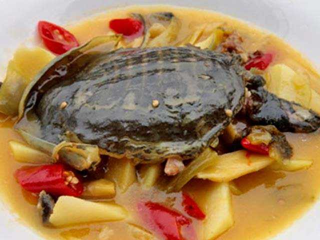 Суп из черепахи - turtle soup - abcdef.wiki