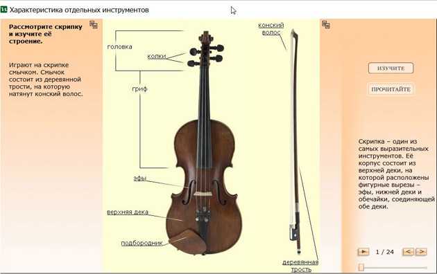 Можно ли научиться на скрипке. Строение смычка для скрипки. Смычок скрипки строение. Как настроить смычок для скрипки. Название частей скрипки.
