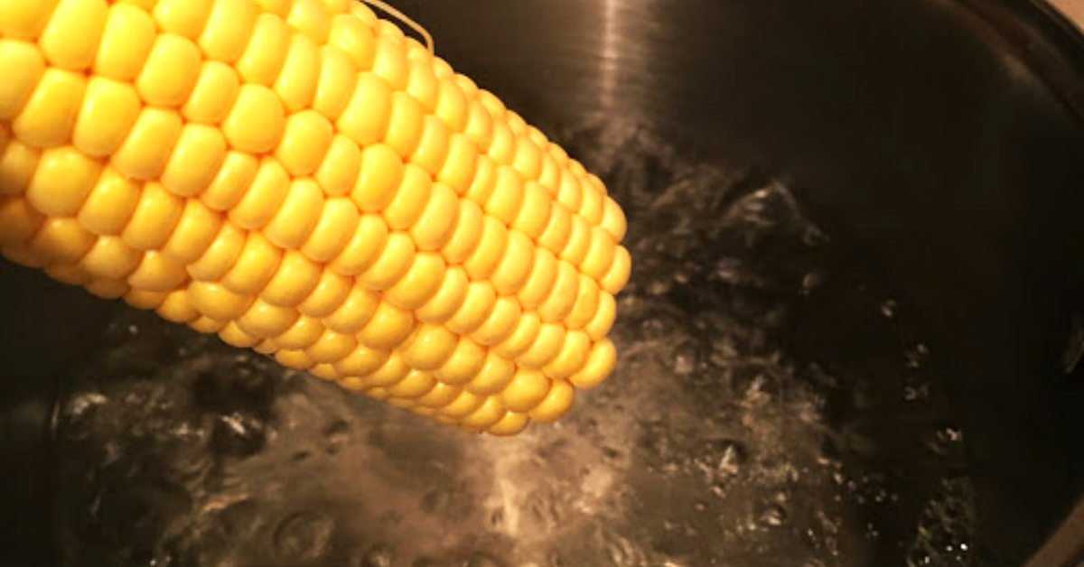 Как приготовить кукурузу | меню недели
