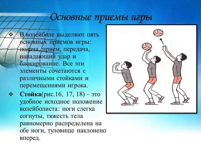 Правила игры в волейбол кратко по пунктам