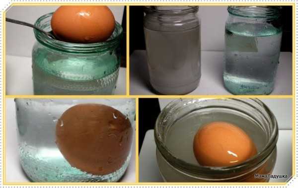 Как пастеризовать яйца: 14 шагов (с иллюстрациями)