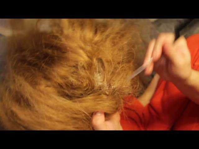 Как распутать и смягчить волосы кукол
