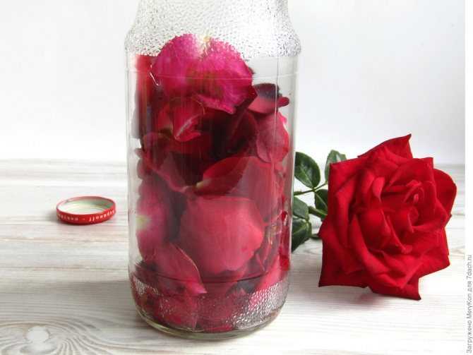 Как сделать розовое масло своими руками в домашних условиях. | ароматы и цветы для здоровья-красоты