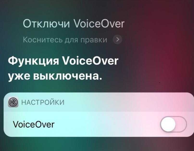 Как использовать voiceover на iphone 12,11, xs max / xs / xr / x, iphone 8/7/6 - wapk.ru