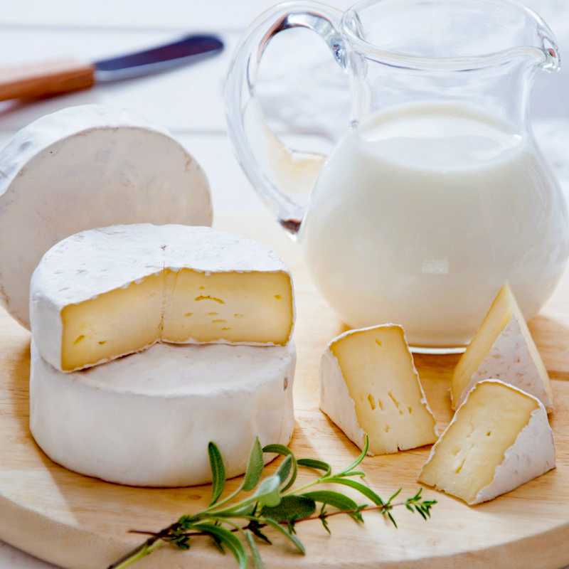 Белый сыр камамбер с плесенью: описание и технология