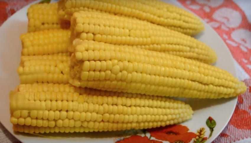 Как варить початок кукурузы в кастрюле - 6 рецептов, как правильно сварить кукурузу в домашних условиях