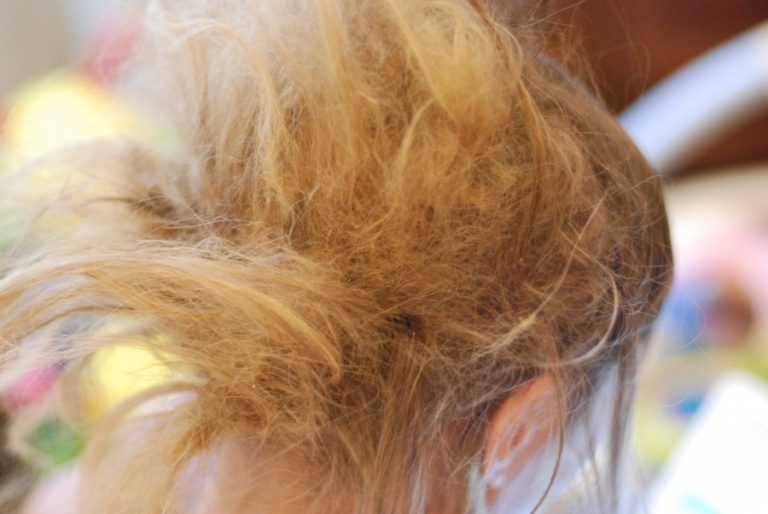 Как расчесать запутанные волосы в домашних условиях