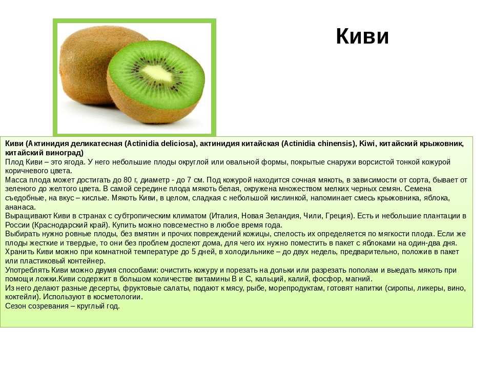 Чем полезен киви для организма: свойства и противопоказания фрукта