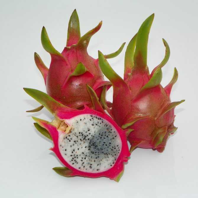 Питахайя фрукт: как его едят, вкус, полезные свойства и вред