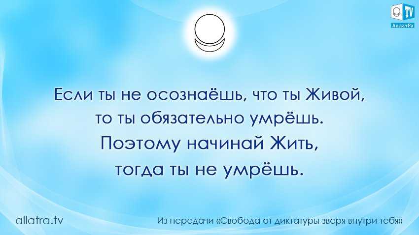 Настоящая свобода. Зверь внутри тебя АЛЛАТРА. Возможна ли настоящая Свобода. Настоящая Свобода для меня это.