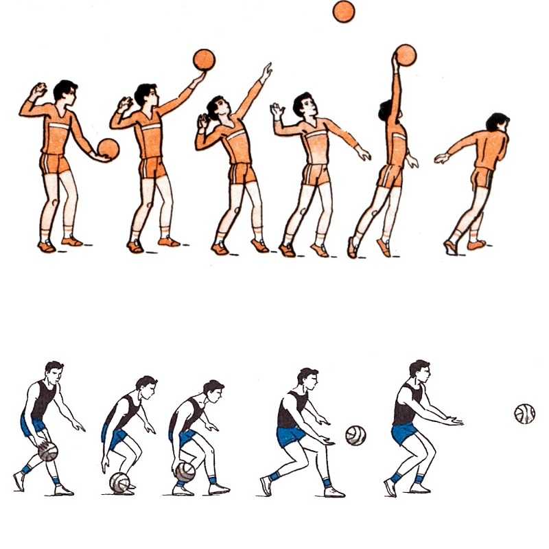 Как научиться хорошо играть в волейбол для начинающих