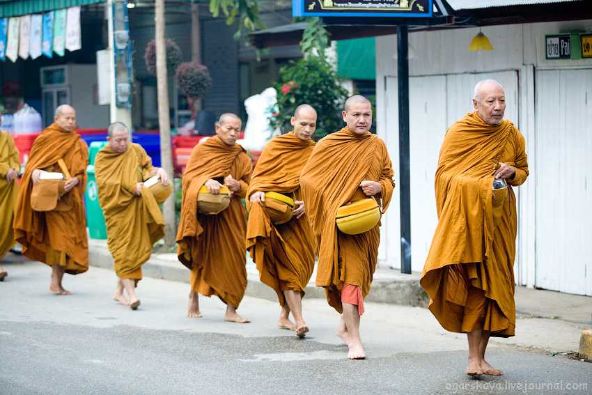Стать монахом шаолиня: 12 шагов (с иллюстрациями) - чаевые - 2021