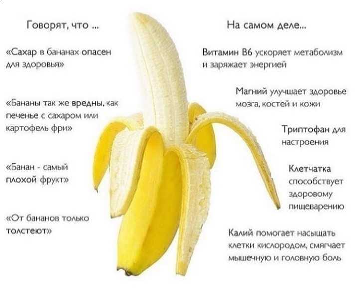 Мини-бананы и плантаны / что это такое и как их едят – статья из рубрики "что съесть" на food.ru