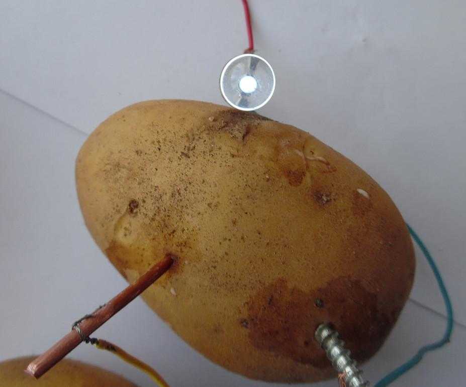 Как получить ток из картошки. батарейка из картошки и других овощей. электричество из фруктов