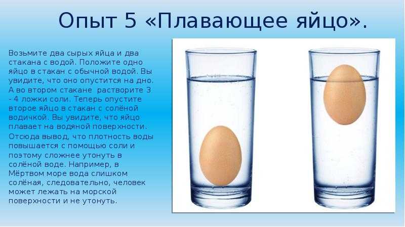 7 экспериментов с яйцами, которые можно сделать дома :: инфониак