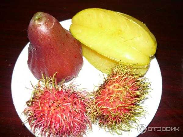 Карамбола: полезные свойства фрукта